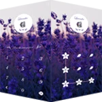 Logo of AppLock Theme Lavender android Application 